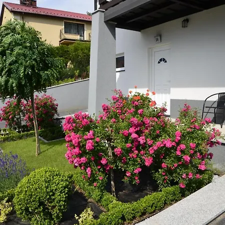 Wypoczynek Pod Lasem Homestay