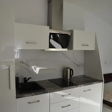 Privatunterkunft Wypoczynek Pod Lasem