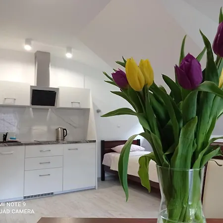 Wypoczynek Pod Lasem 홈스테이