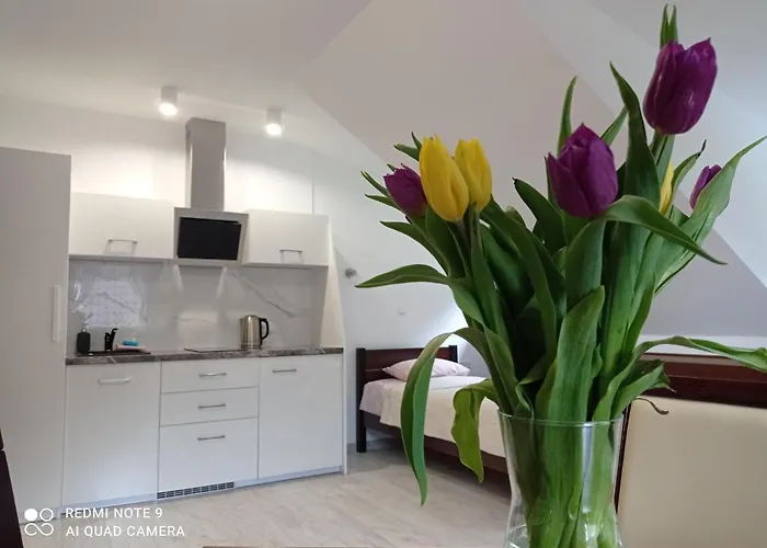 Wypoczynek Pod Lasem Homestay