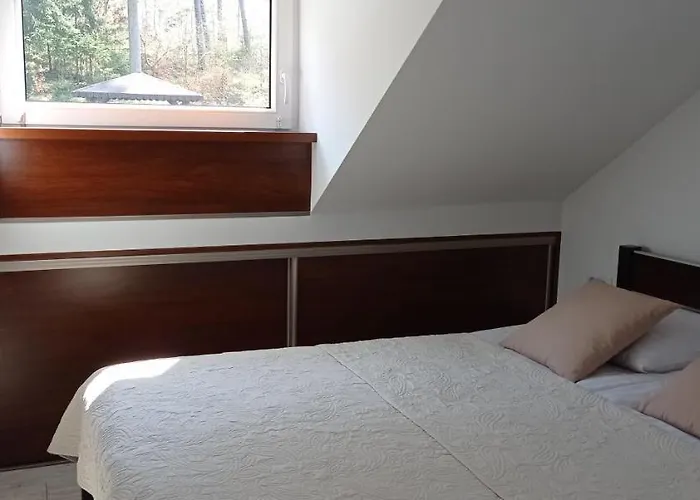 Wypoczynek Pod Lasem Kudowa-Zdrój